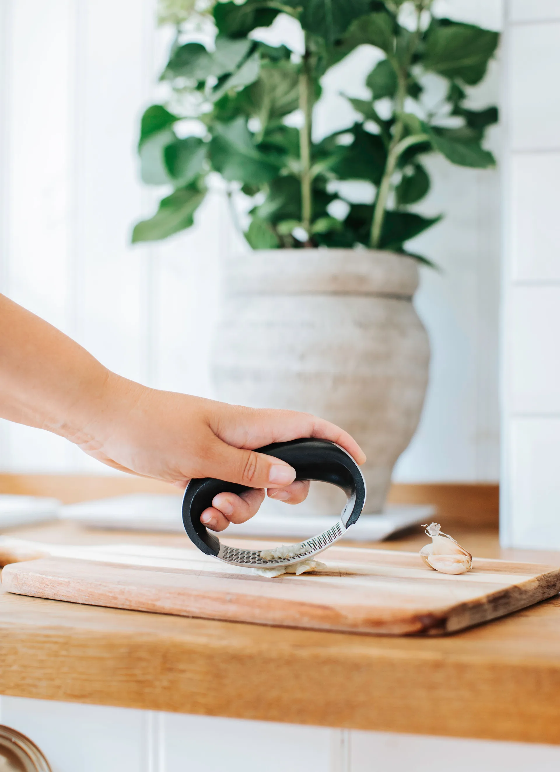 Garli garlic press, 不锈钢 Dorre