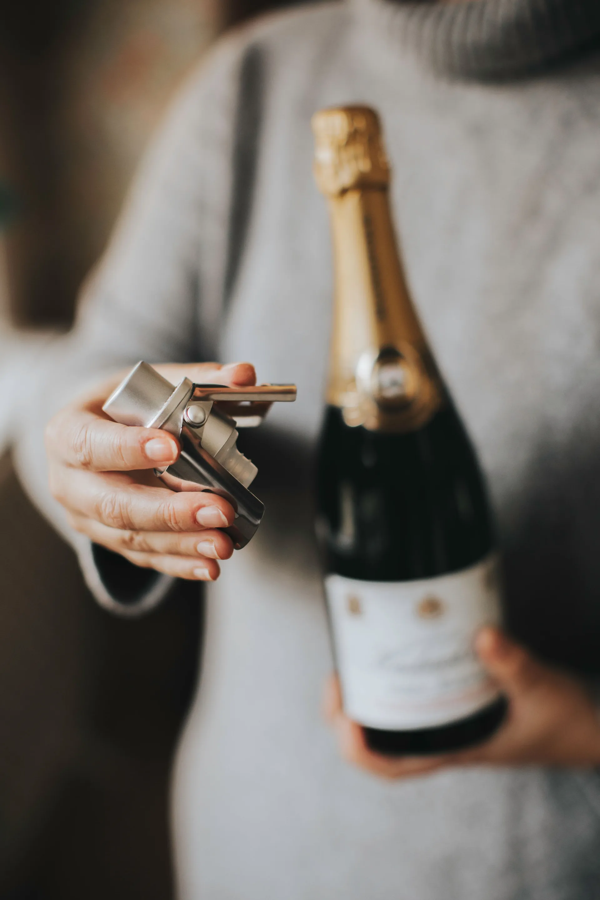 Pump it champagne stopper, 银色 Dorre