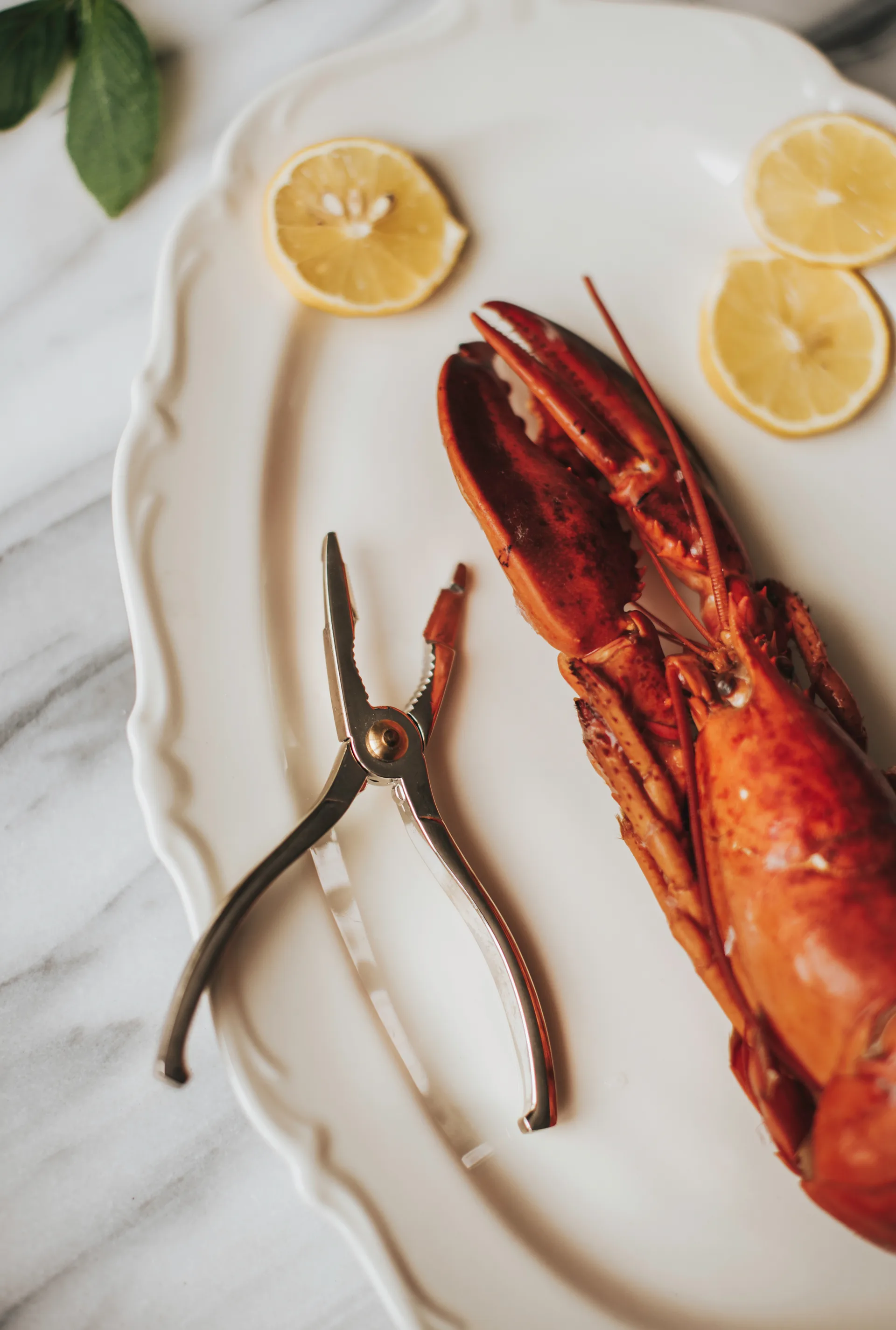 Skai lobster 夹子/钳子 15 cm, 银色 Dorre