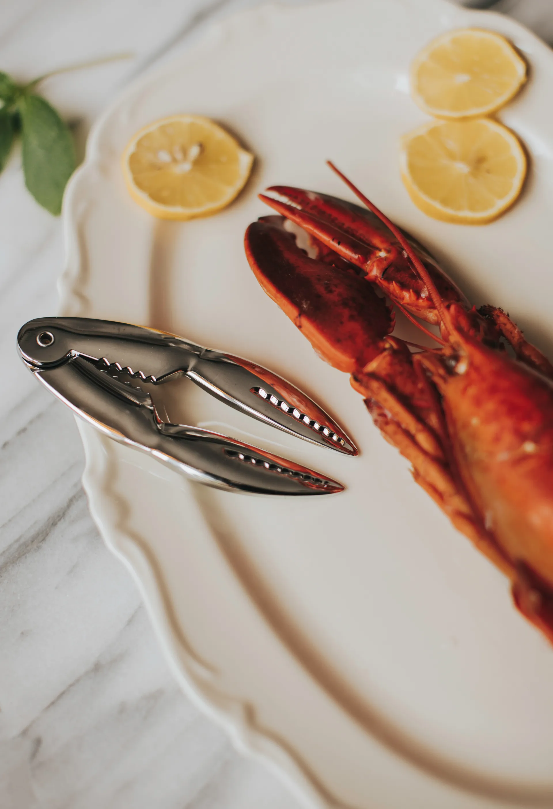 Skai seafood 夹子/钳子 13.5 cm, 银色 Dorre