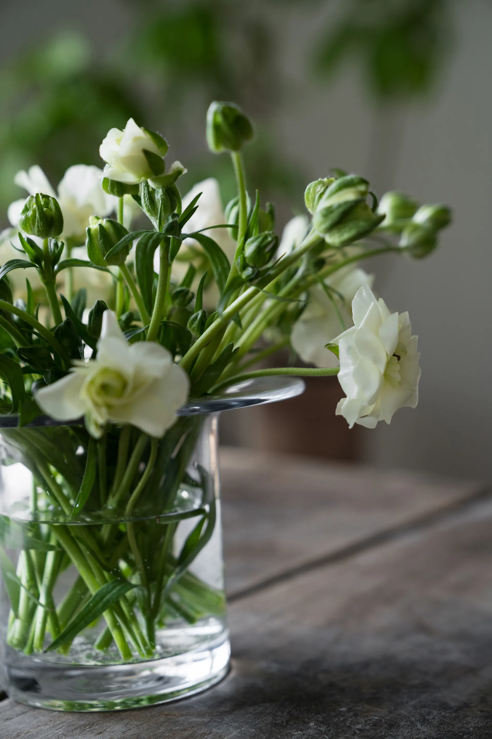 Ernst 玻璃花瓶 Ø17 cm, H 13 cm ERNST