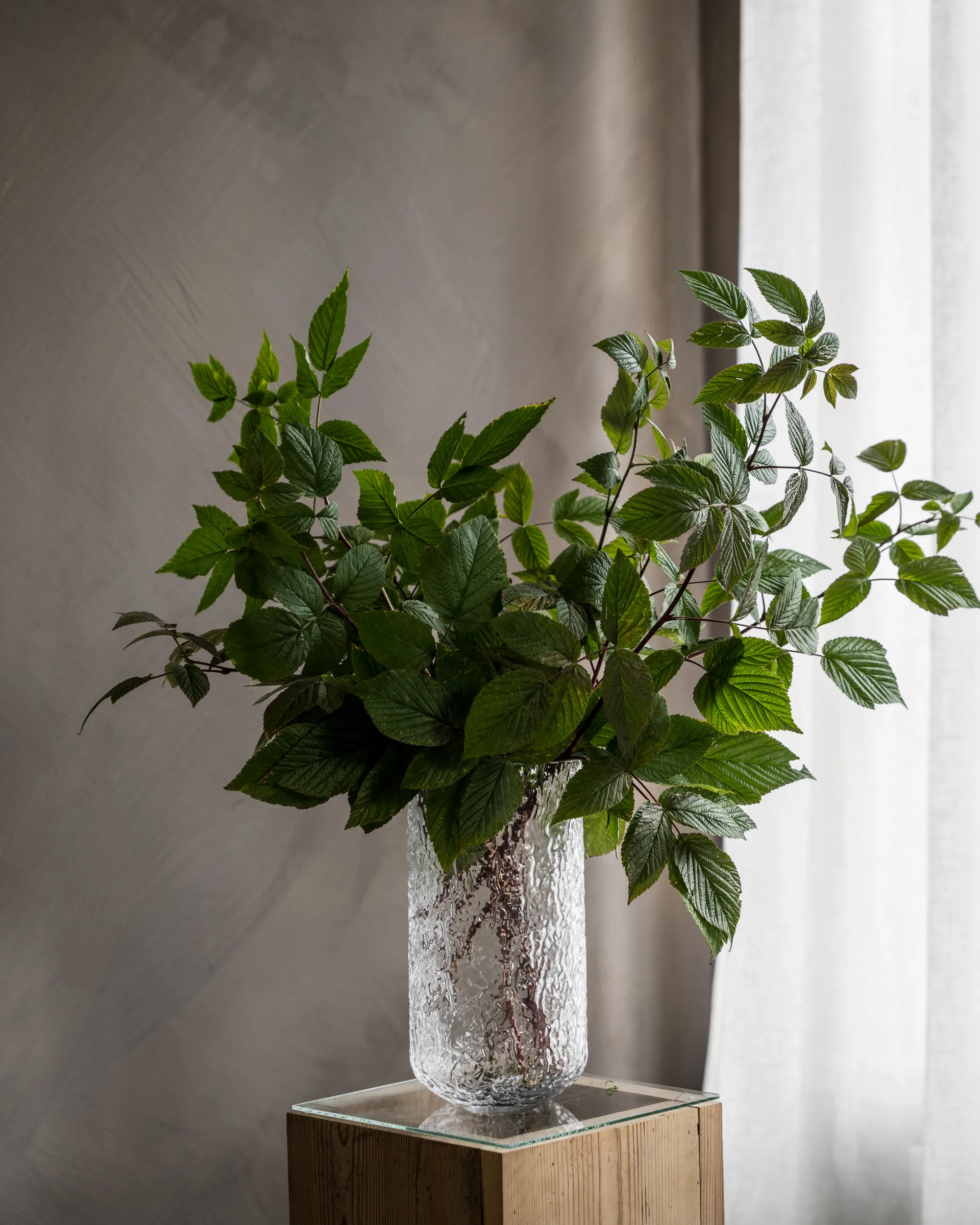 Ernst 花纹花瓶25cm, 透明 ERNST