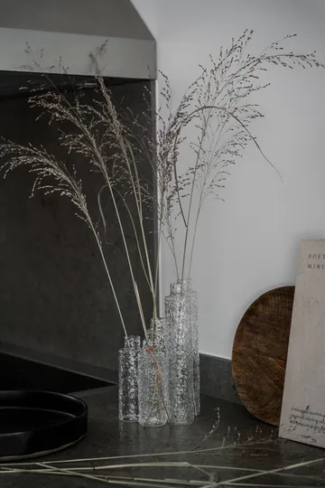Ernst 纹理透明玻璃花瓶 - 直径5x25cm - ERNST