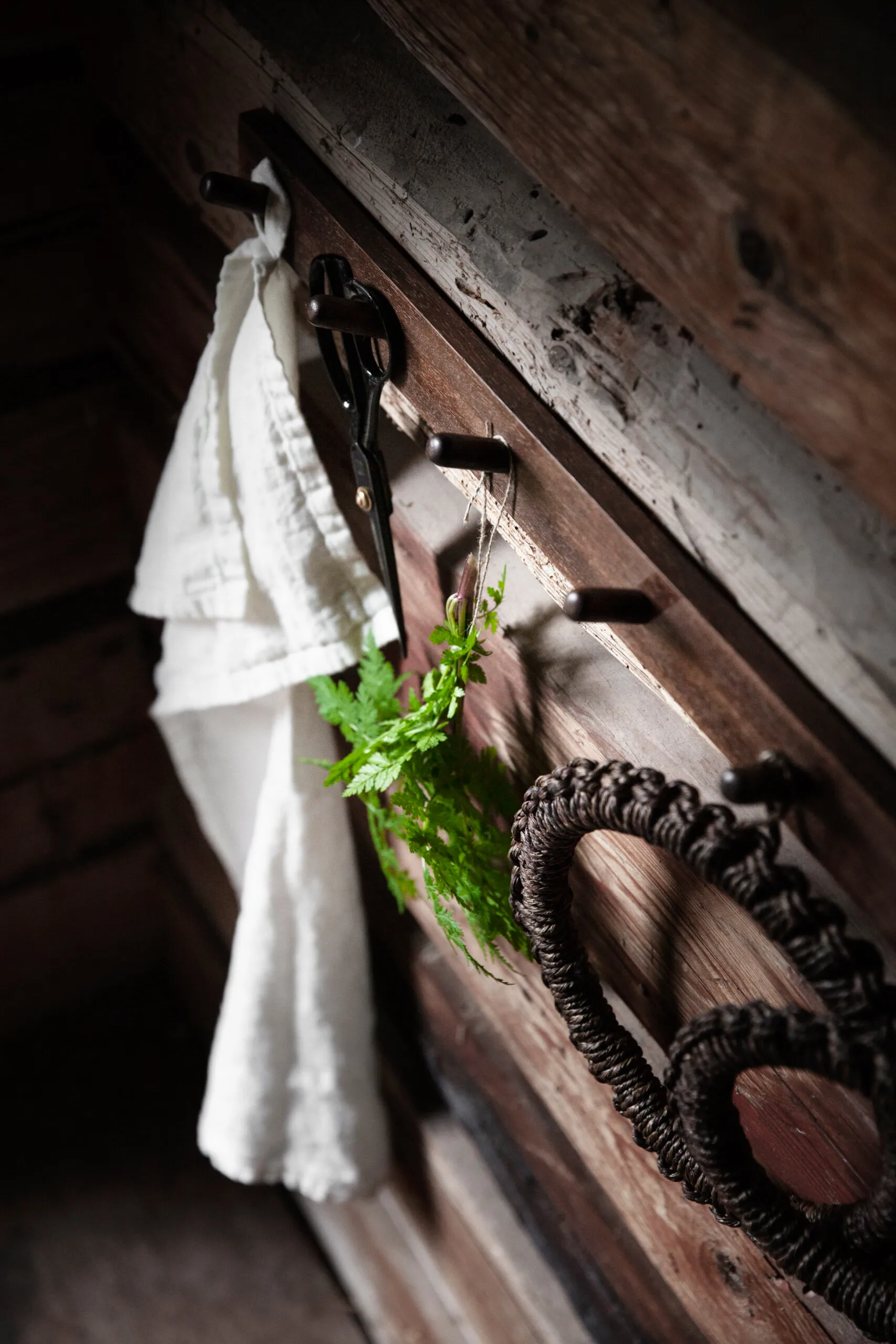 Ernst coatrack 3 hooks, 棕色 ERNST