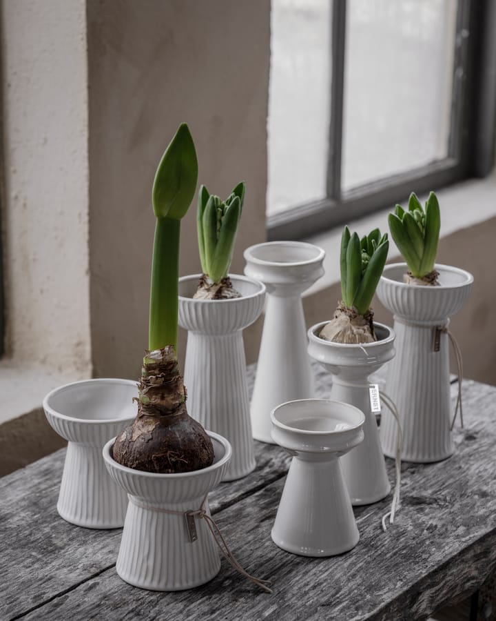 Ernst onion 花瓶 12 cm, 原色/自然色 白色 ERNST