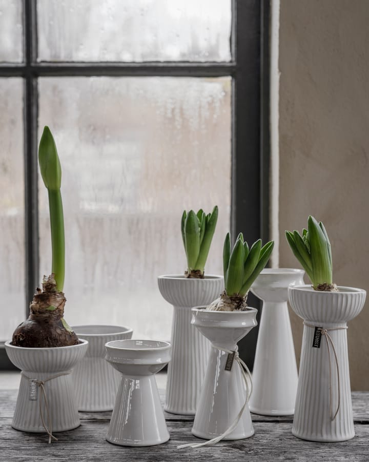 Ernst onion 花瓶 12 cm, 原色/自然色 白色 ERNST