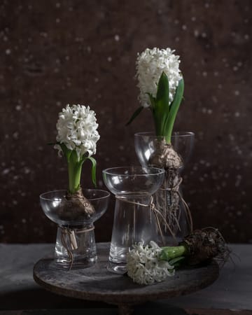 Ernst onion 花瓶 玻璃 - 19 cm - ERNST