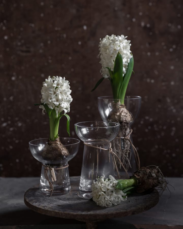 Ernst onion 花瓶 玻璃, 19 cm ERNST