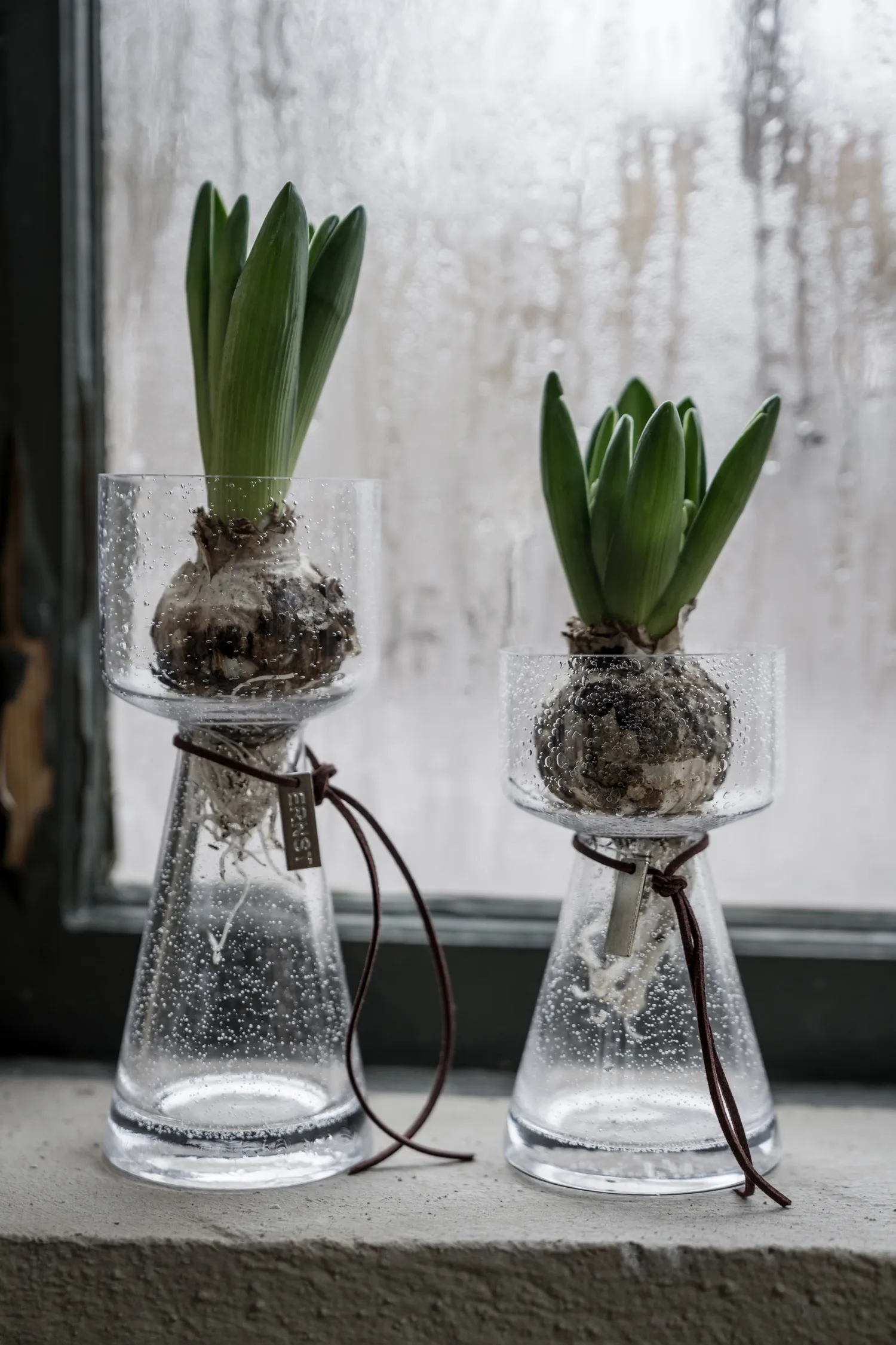 Ernst onion 花瓶 bubbly 玻璃, 15 cm ERNST