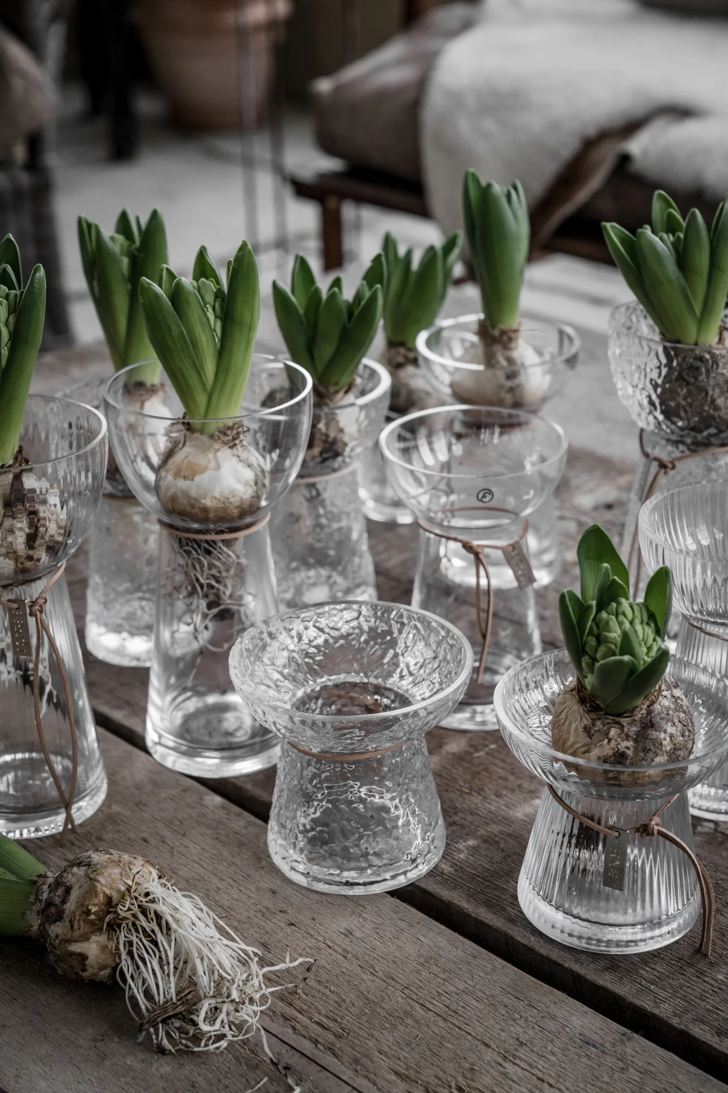 Ernst onion 花瓶 patterned, 19 cm ERNST