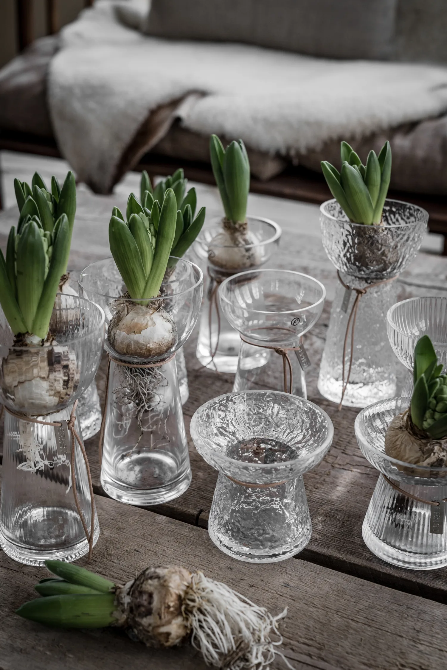 Ernst onion 花瓶 ribbed, 19 cm ERNST