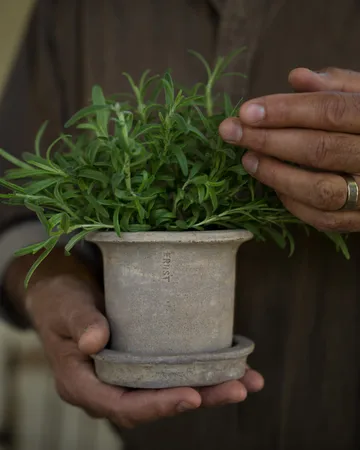 Ernst terracotta pot with 碟子 - Ø12x10 cm - ERNST