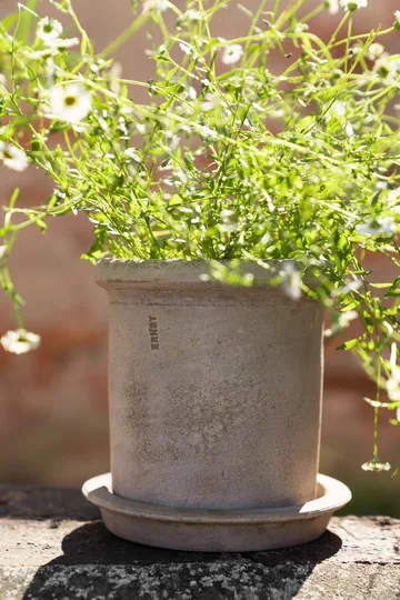 Ernst terracotta pot with 碟子 - Ø16x16 cm - ERNST