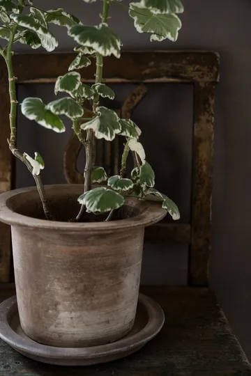 Ernst terracotta pot with 碟子 - Ø24x17 cm - ERNST