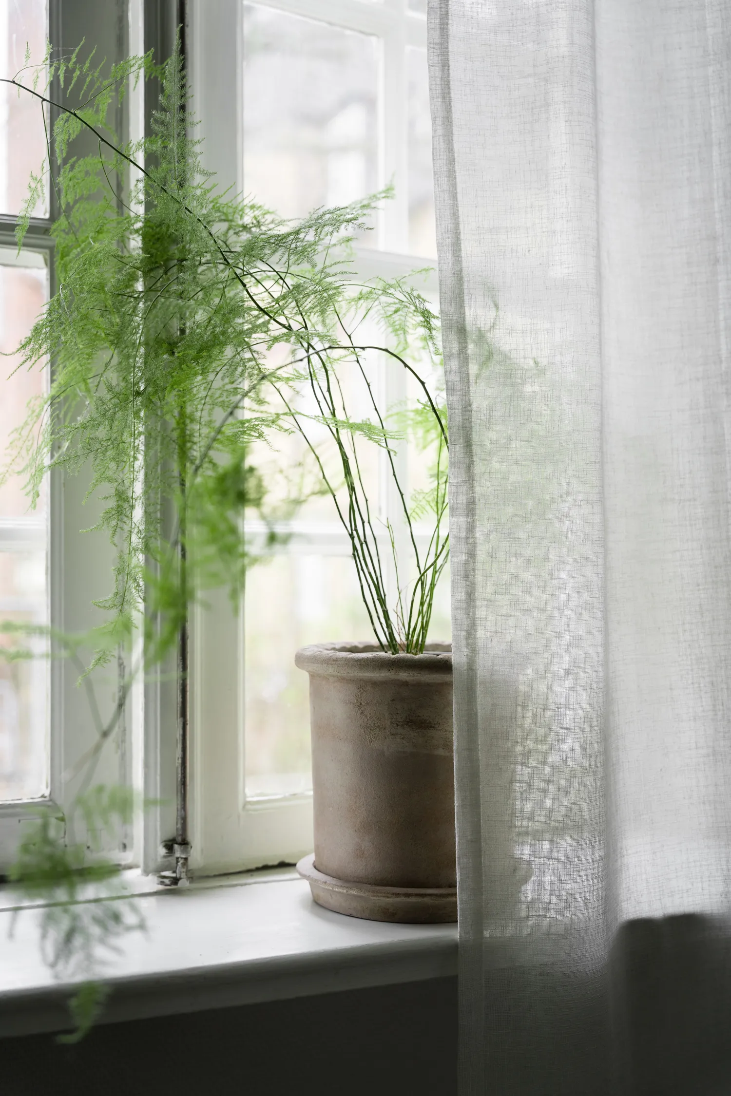 Ernst terracotta pot with 碟子, Ø25x28 cm ERNST