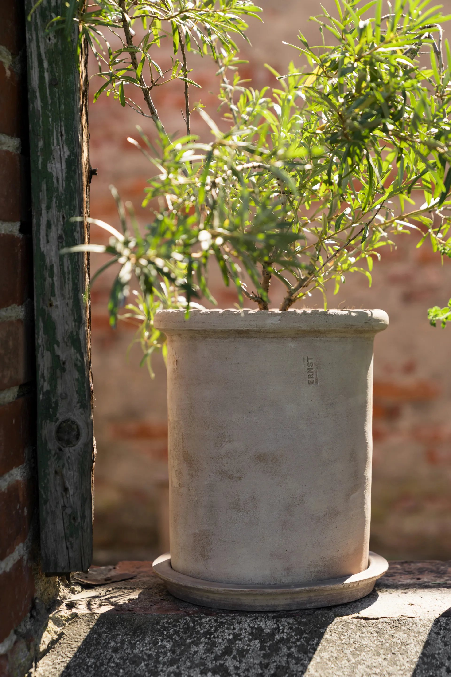 Ernst terracotta pot with 碟子, Ø25x28 cm ERNST