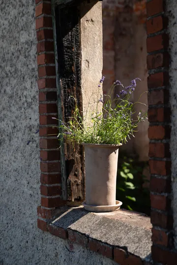 Ernst terracotta pot with 碟子 - Ø25x35 cm - ERNST