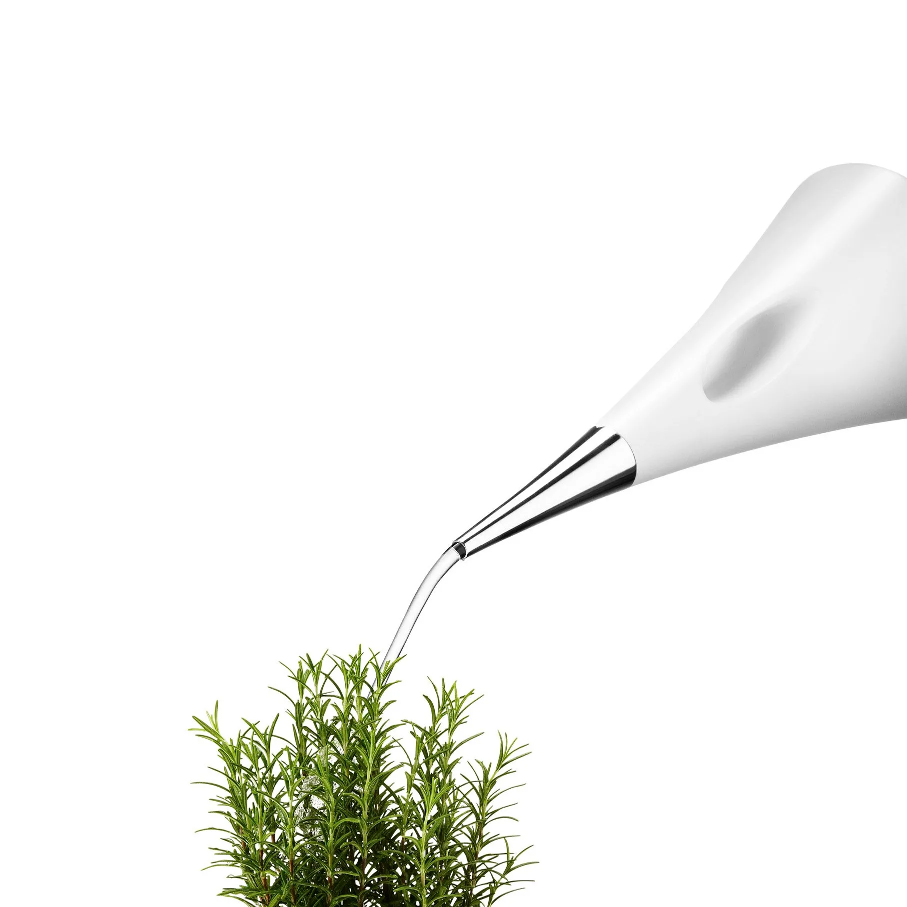 AquaStar Watering can, 白色 Eva Solo