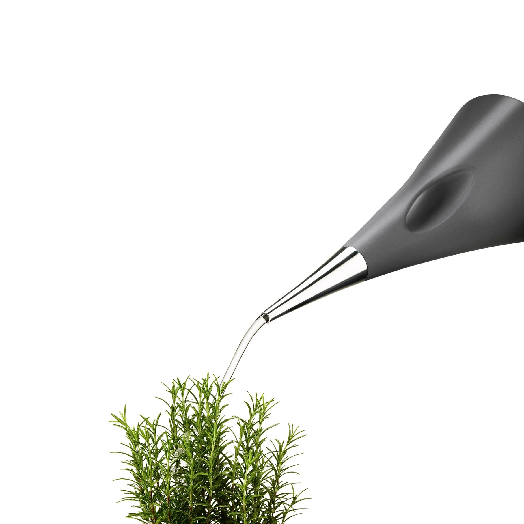 AquaStar Watering can, 灰色 Eva Solo