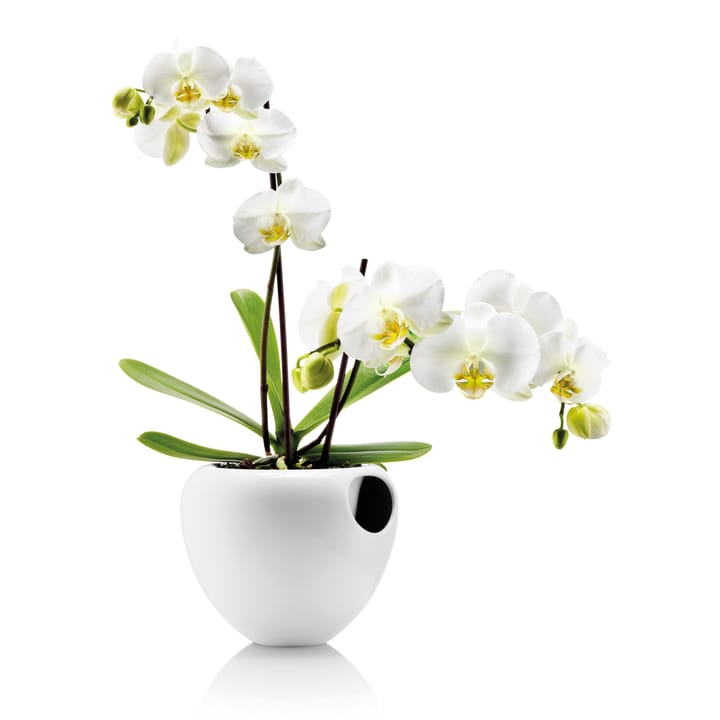 Eva Solo orchidpot, 白色 Eva Solo