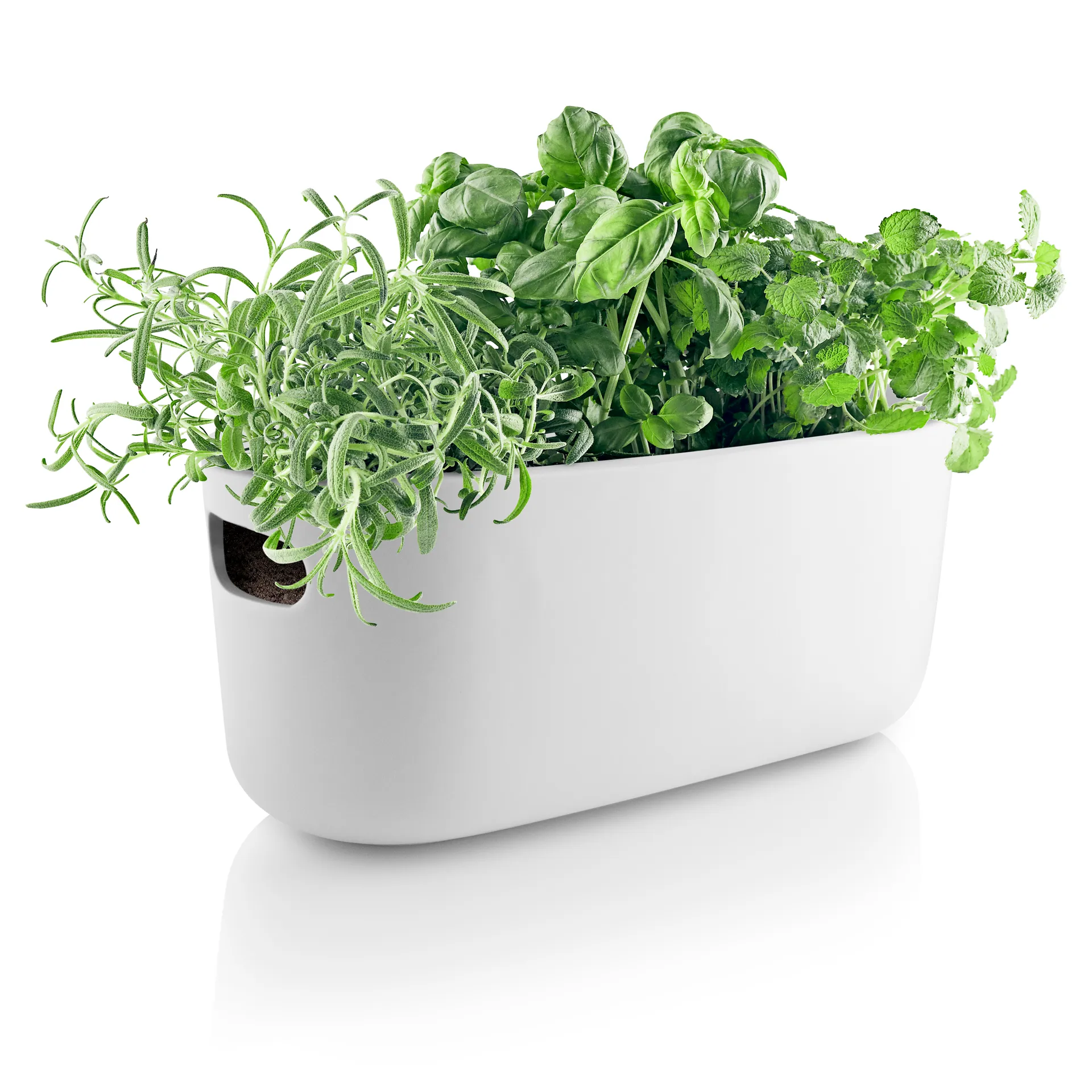 Eva Solo self-watering herb organizer, 白色 Eva Solo
