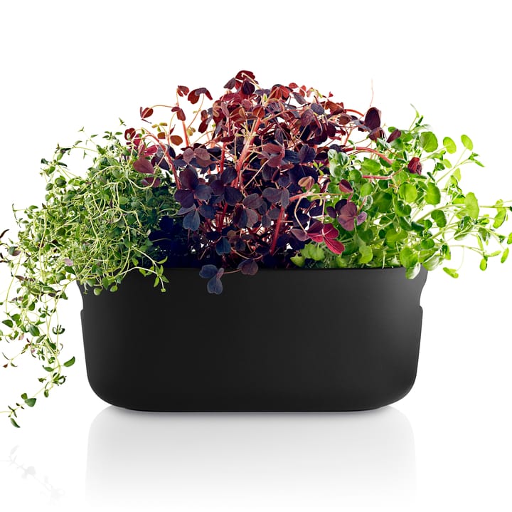 Eva Solo self-watering herb organizer, 黑色 Eva Solo