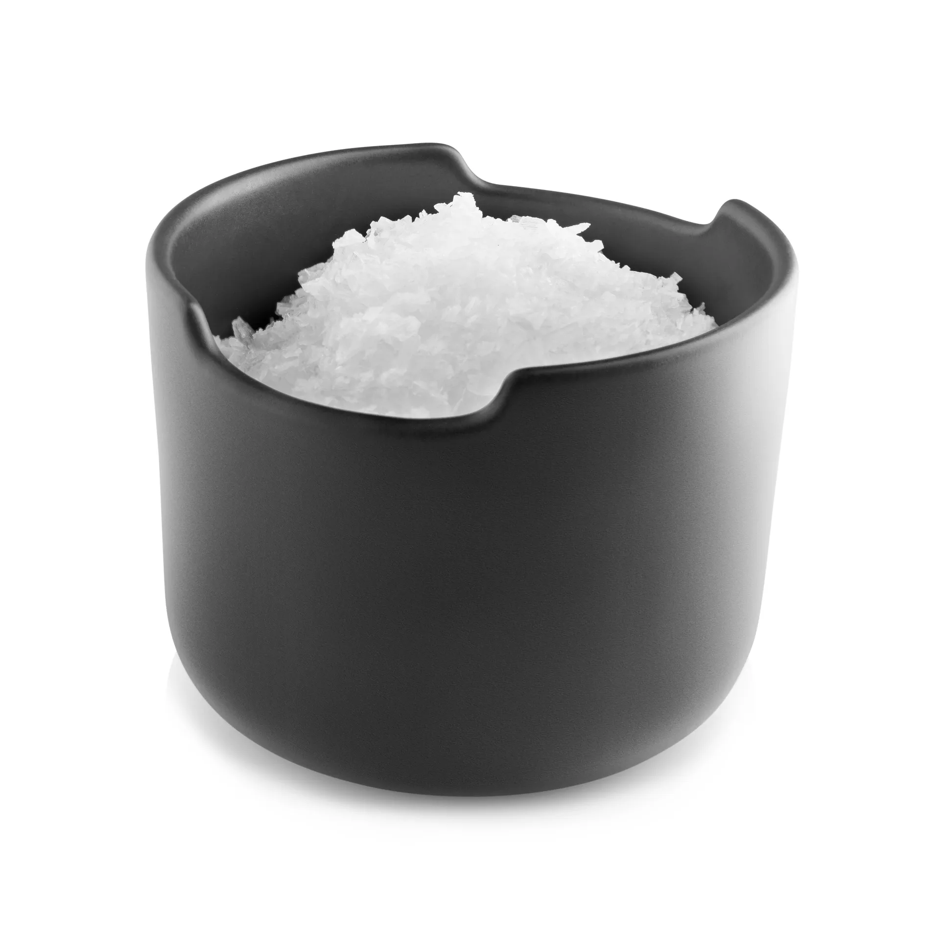 Nordic Kitchen salt jar with lid, 黑色 Eva Solo