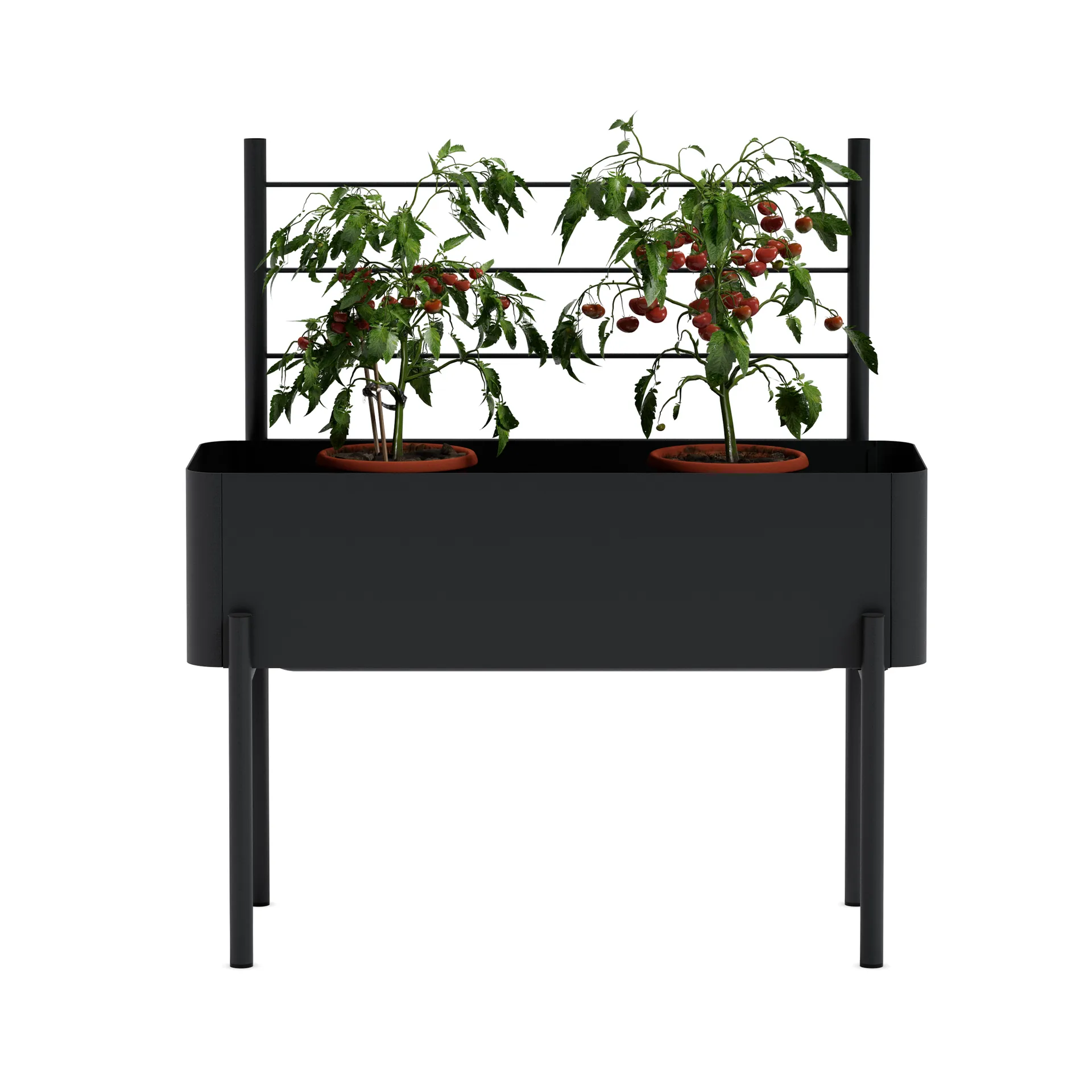 Simply Grow trellis for growing box, 黑色 Eva Solo