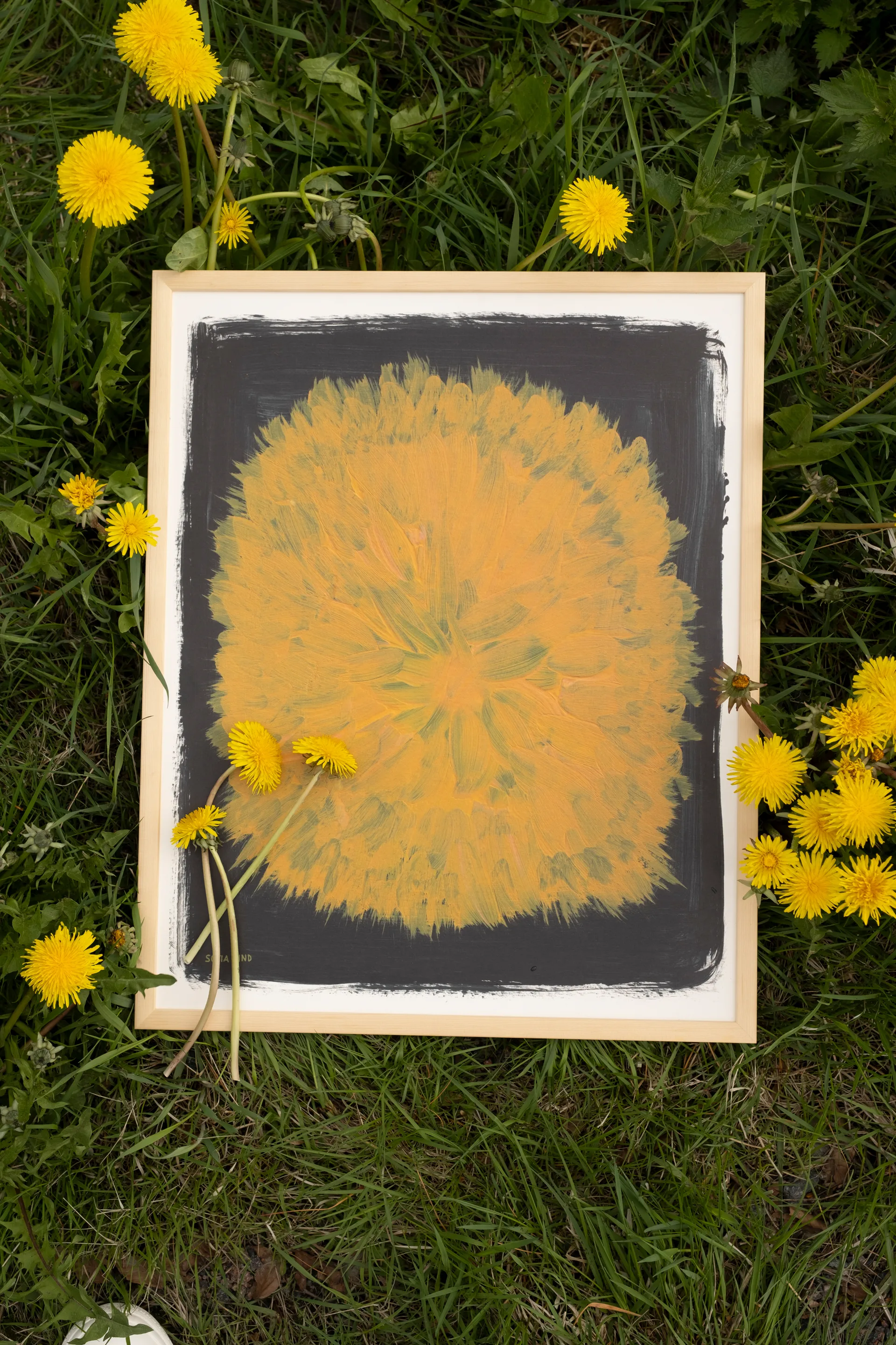 Dandelion 海报 40x50 cm, 黄色配黑色 Fine Little Day