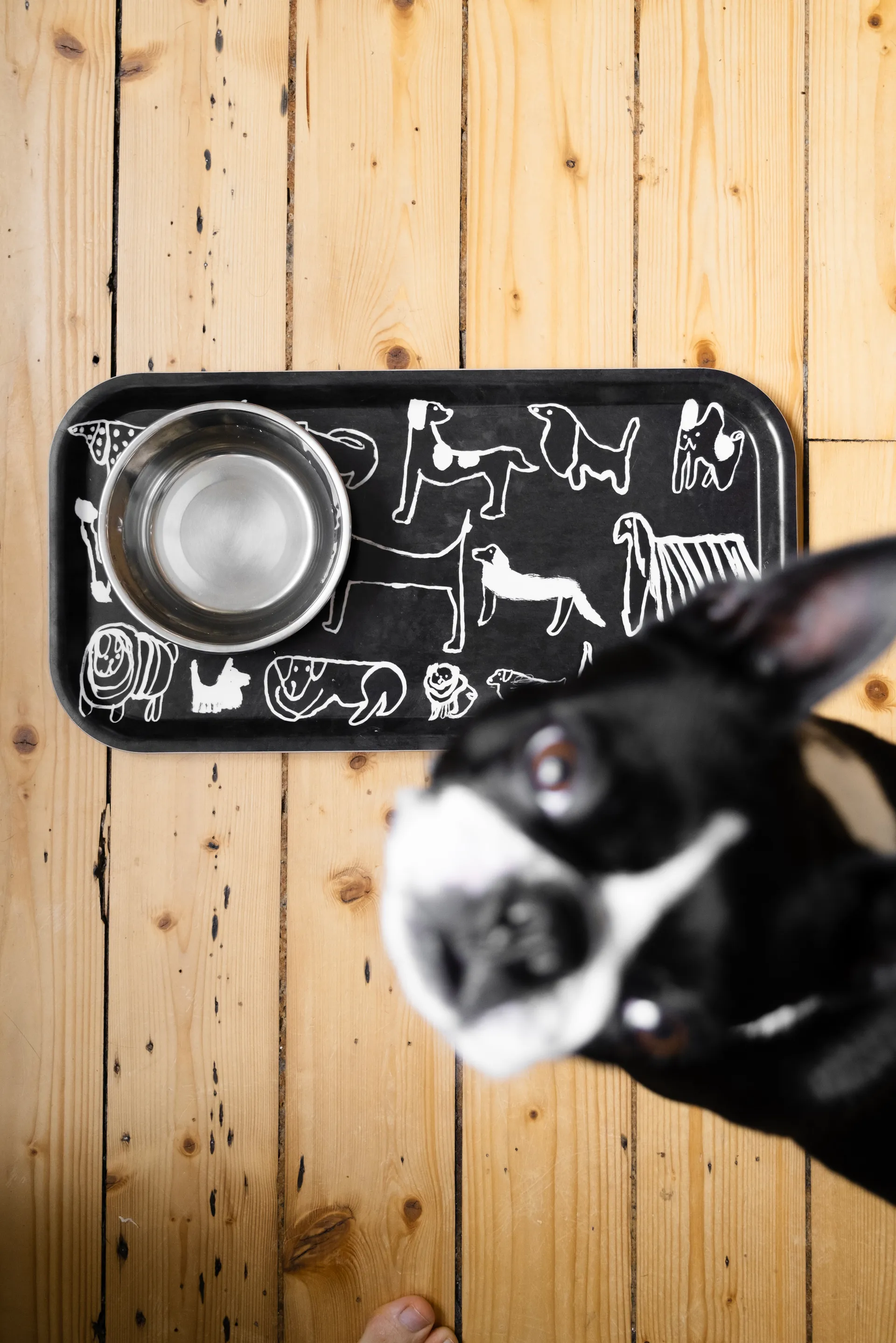 小狗们Dogs托盘_22x43cm, 黑白色 Fine Little Day