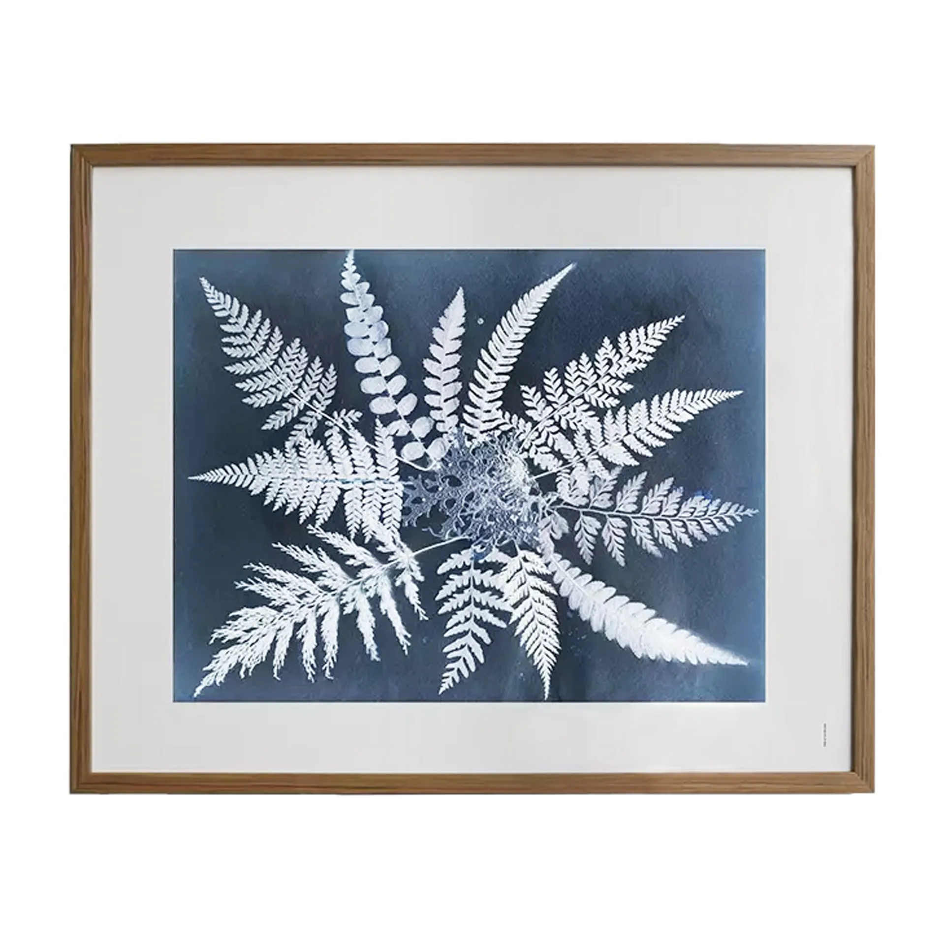 Fern star 海报, 40x50cm Fine Little Day