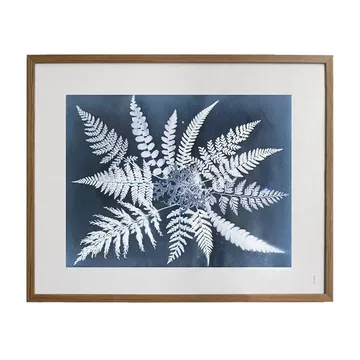 Fern star 海报 - 40x50cm - Fine Little Day