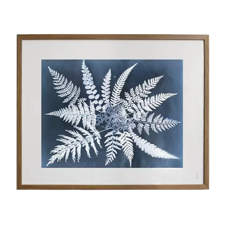 Fern star 海报 - 40x50cm - Fine Little Day