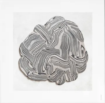Hoshino 海报 - 50x50cm - Fine Little Day
