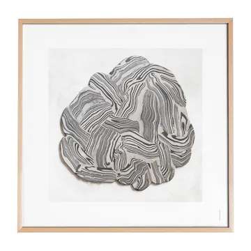 Hoshino 海报 - 50x50cm - Fine Little Day
