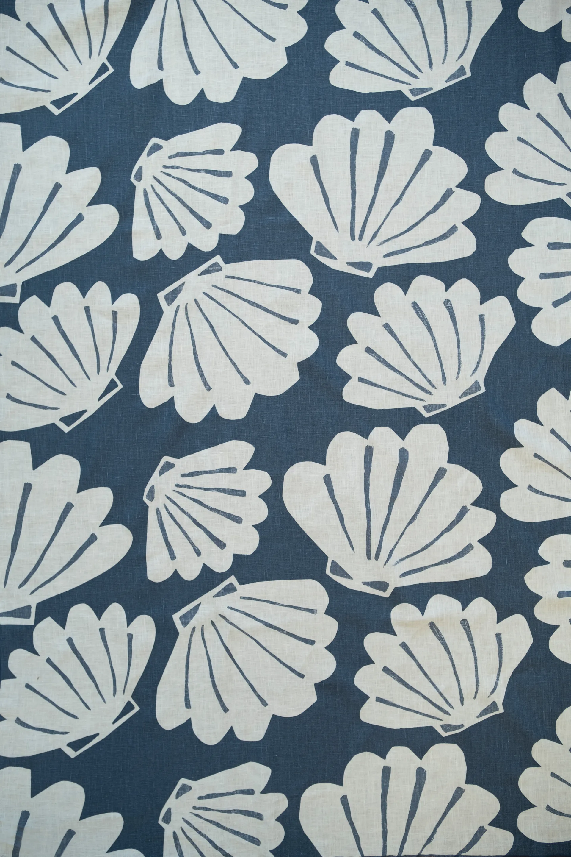 Shell fabric, 蓝色 Fine Little Day