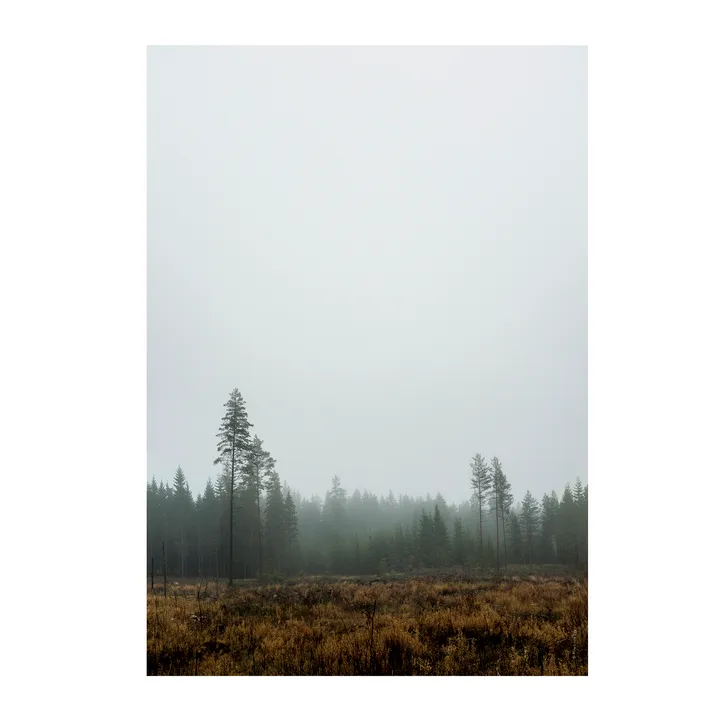 Skog 海报 - 70x100cm - Fine Little Day
