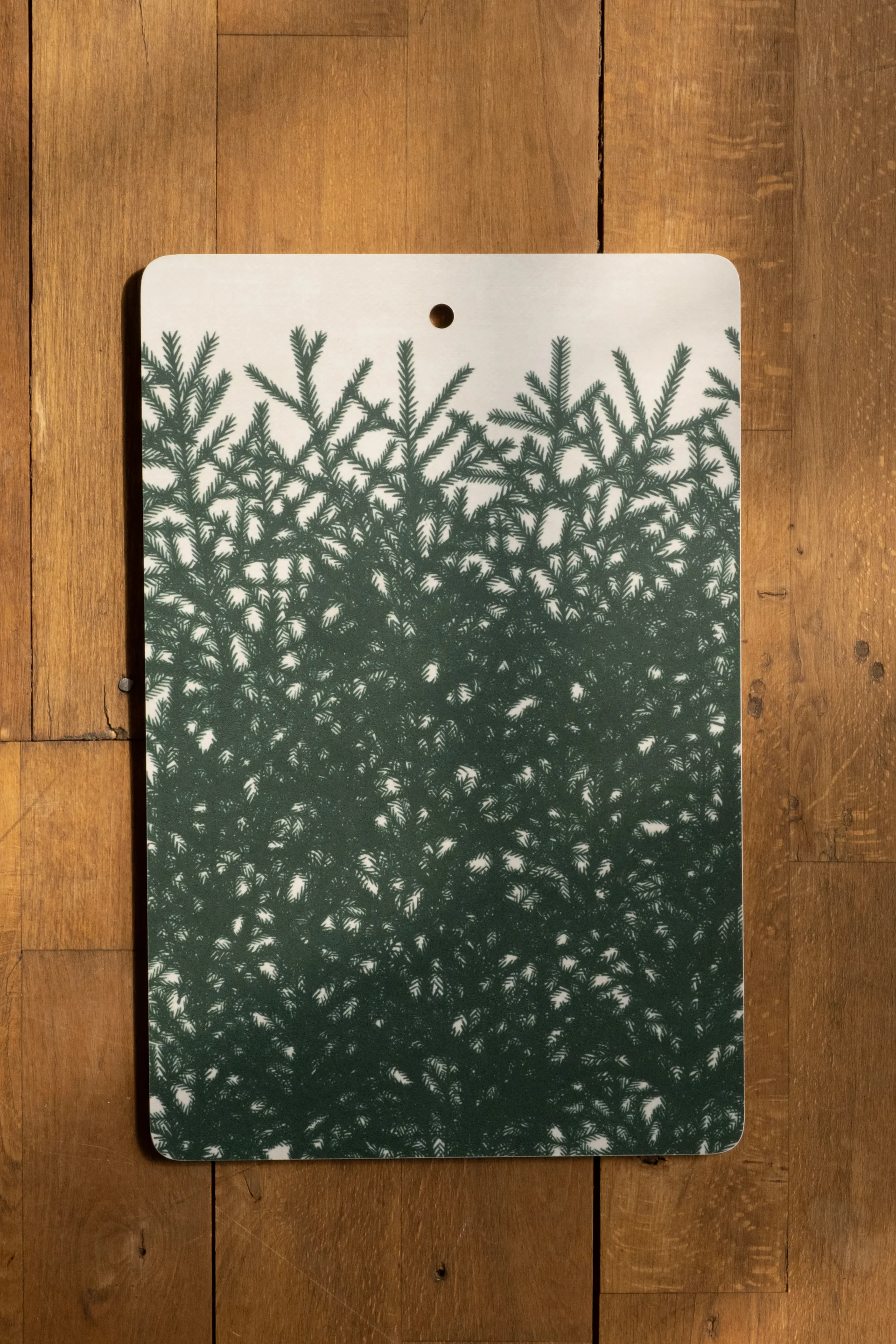 云杉Spruce tree切菜板_21x31cm, 白绿色 Fine Little Day
