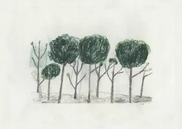 Trees 海报 50x70 cm - 黑色配米白色 - Fine Little Day