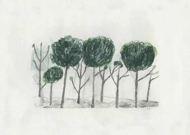 Trees 海报 50x70 cm - 黑色配米白色 - Fine Little Day