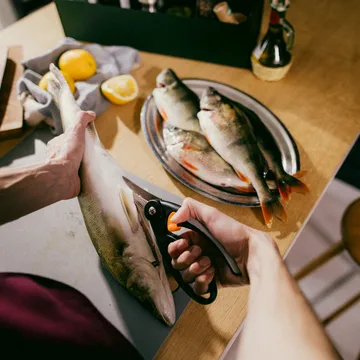 Functional Form renew 食品剪 - 22cm - Fiskars