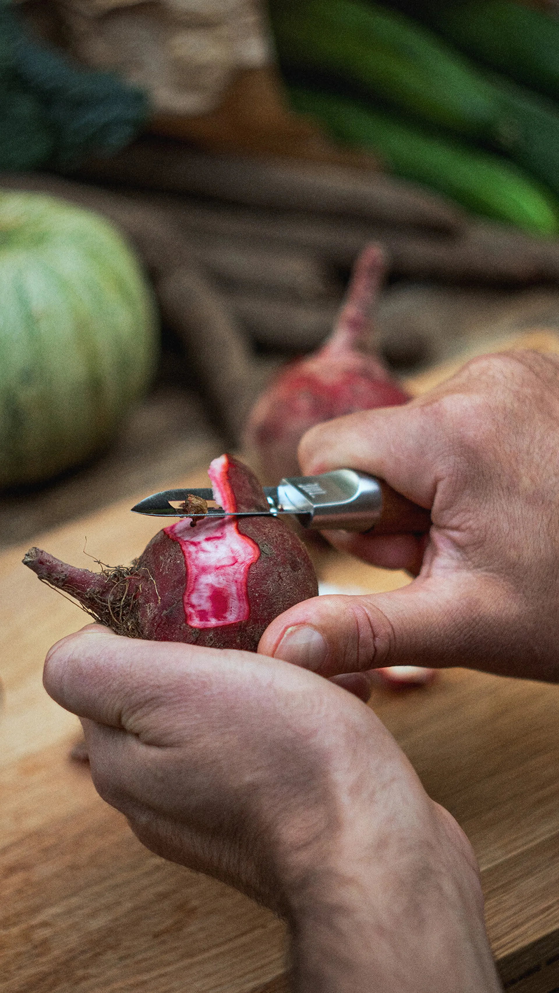 Norden potato peeler, 不锈钢-birch Fiskars