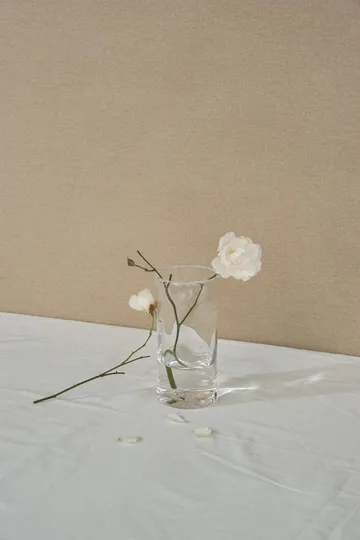 0405 花瓶 - 透明, Ø9,5x20 cm - FRAMA