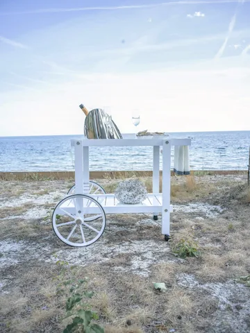 14 serving cart - 白色 - Fri Form