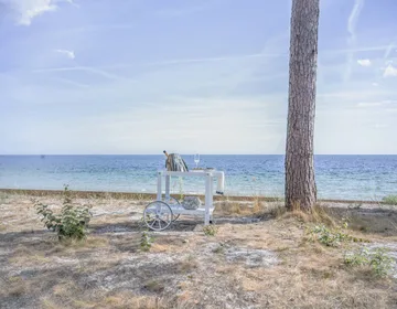 14 serving cart - 白色 - Fri Form