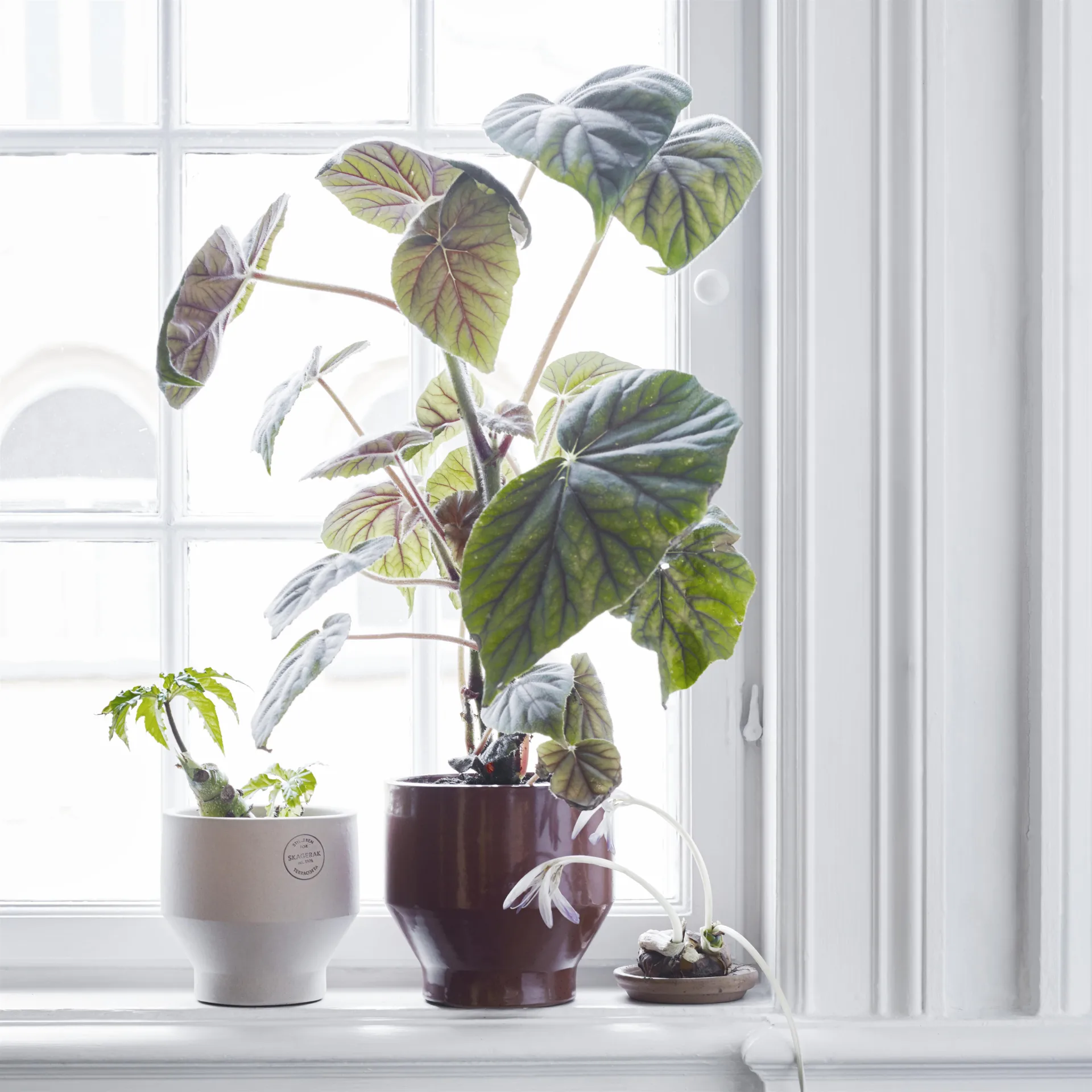 Edge 室内花盆 Ø18cm, 焦红色 Fritz Hansen