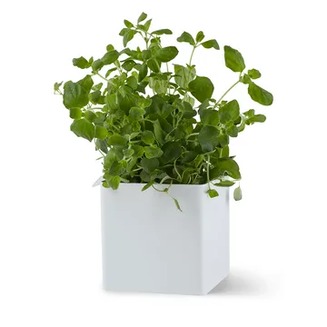 Flex Box 小 10.5 cm - 白色 - Gejst