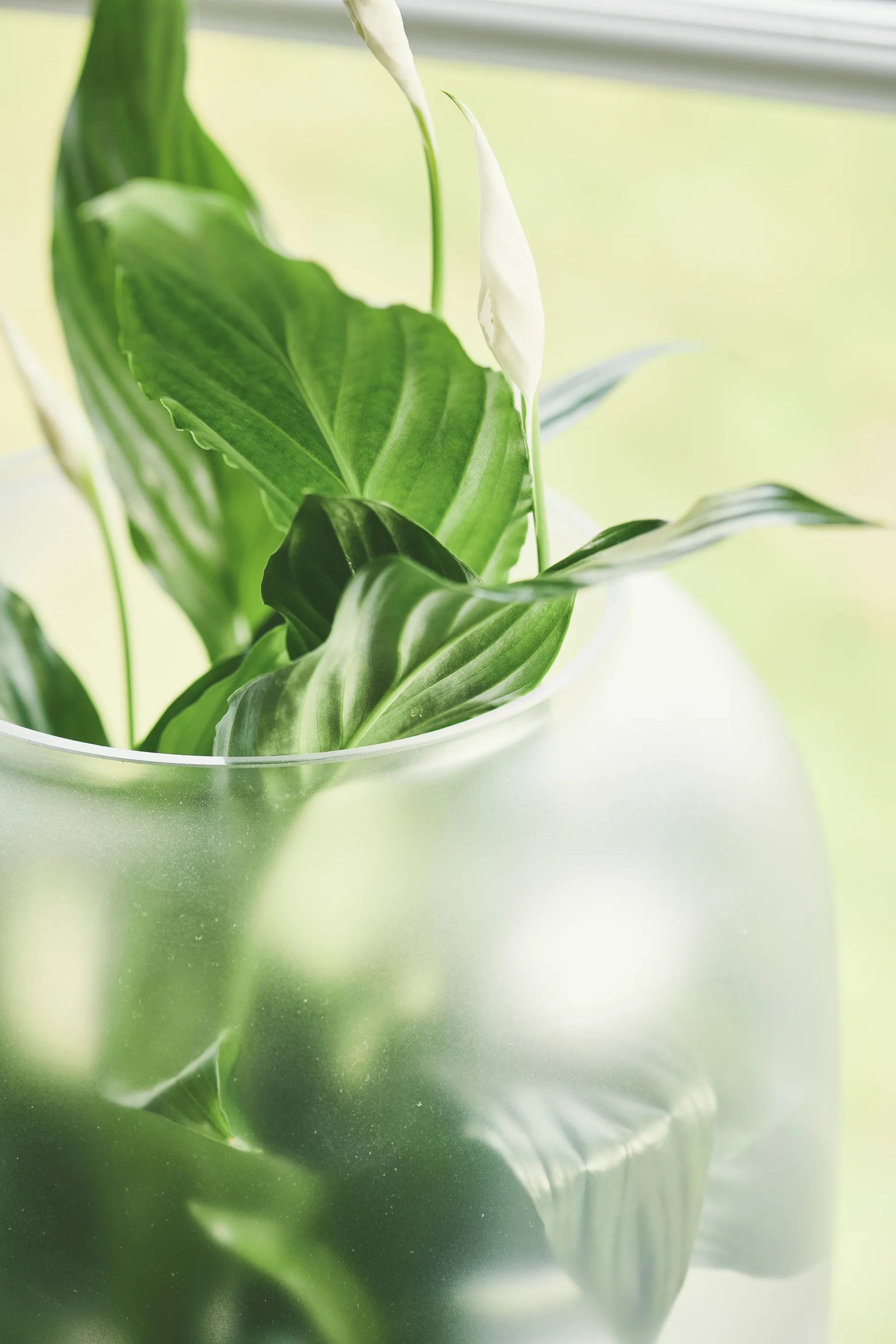 Nebl 花盆 搭配毛玻璃 Ø26 cm, 灰色 Gejst