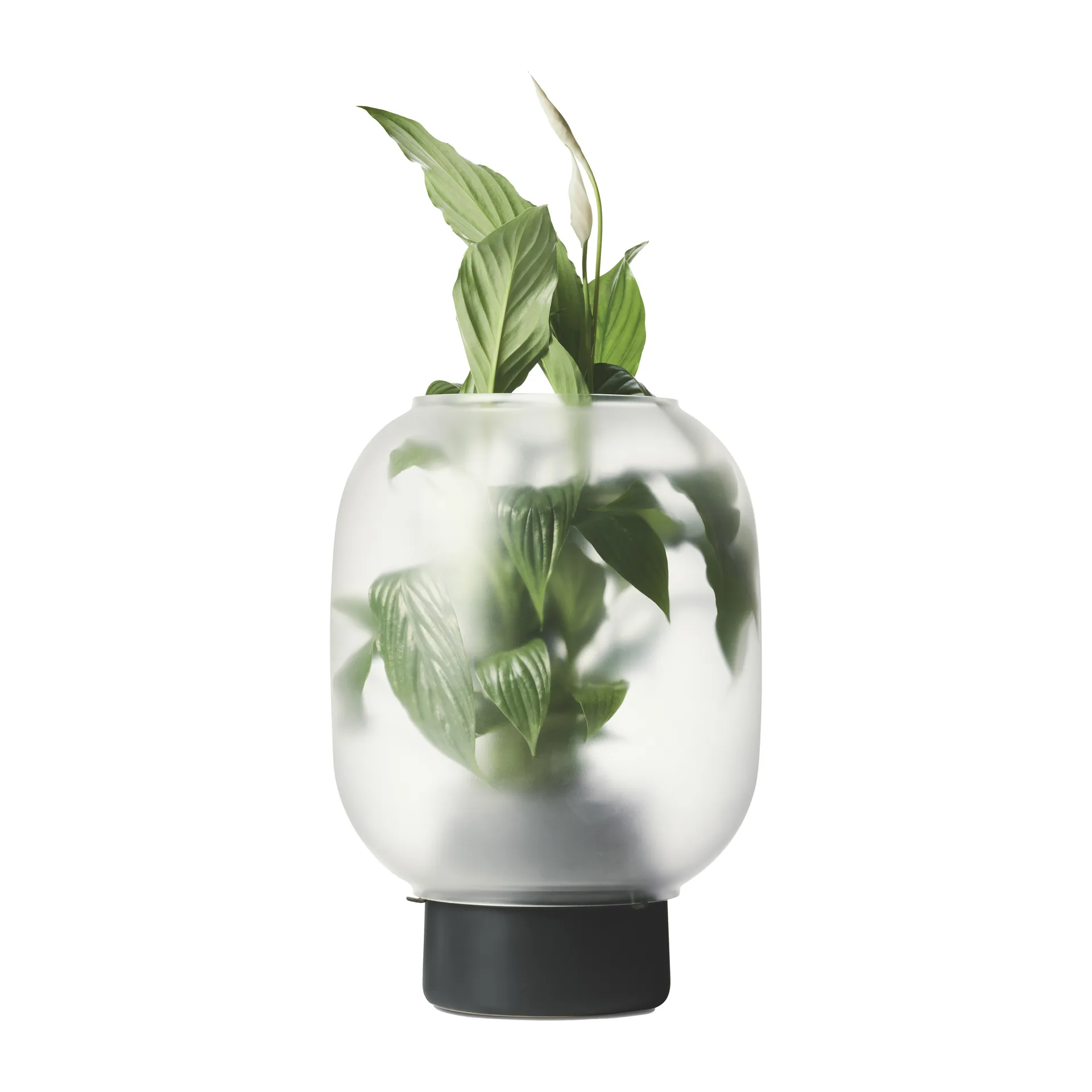 Nebl 磨砂玻璃花盆 Ø26cm, 黑色 Gejst