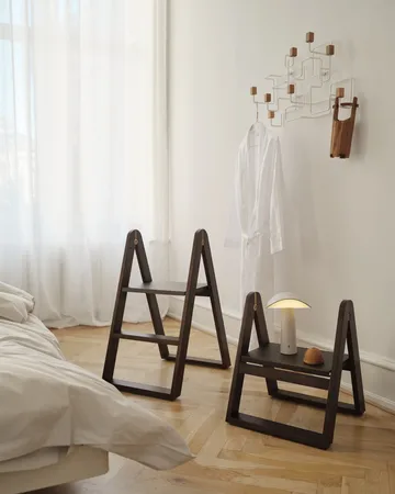 Reech 小梯子 - Dark 白蜡木 - Gejst